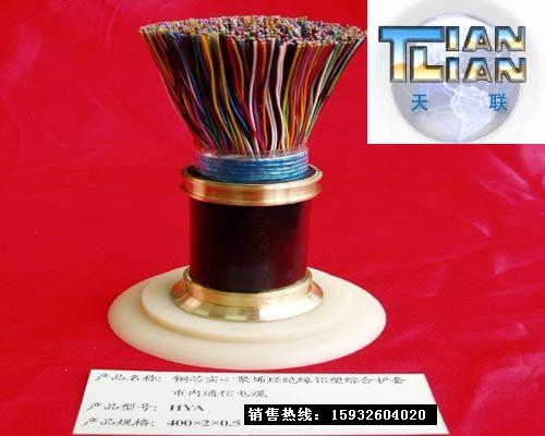 HYA22 100X2X0.5MMͨŵ