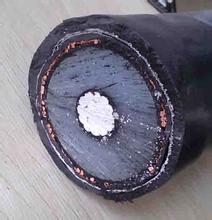 GZYV150KV/1*4-ͼ