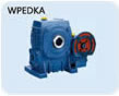 ŷٻٻ wps60ϸ˽ŷԭ
