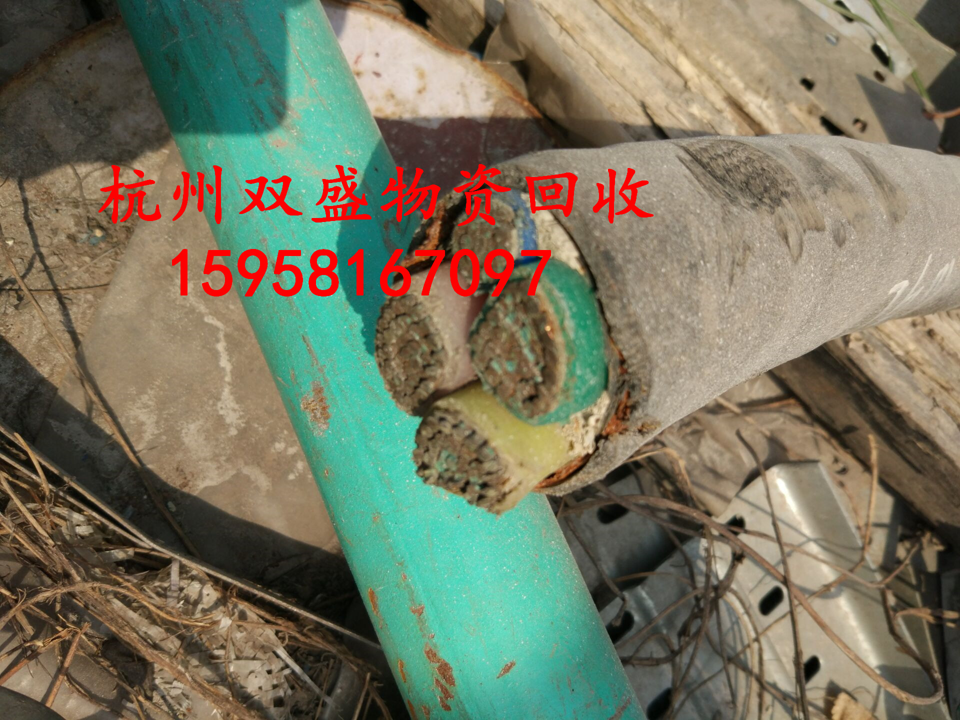 糧豸Ż