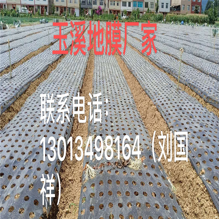 ͨĤ۸ ϪĤ绰
