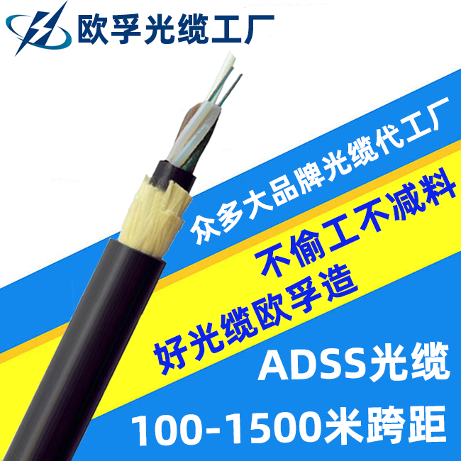 ADSSȫʽṹΪѡ