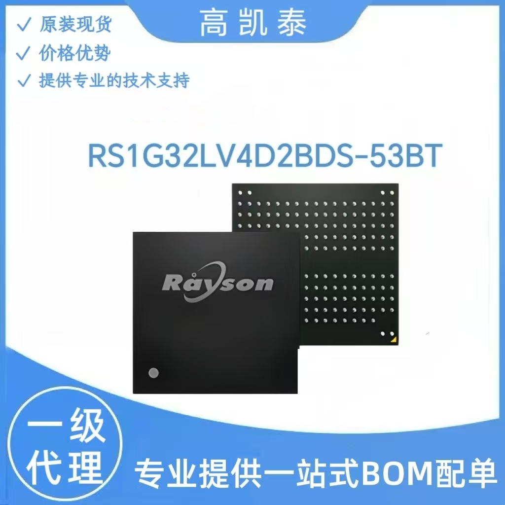 RS1G32LV4D2BDS-53BT 洢IC RAYSON/ ֻӦ