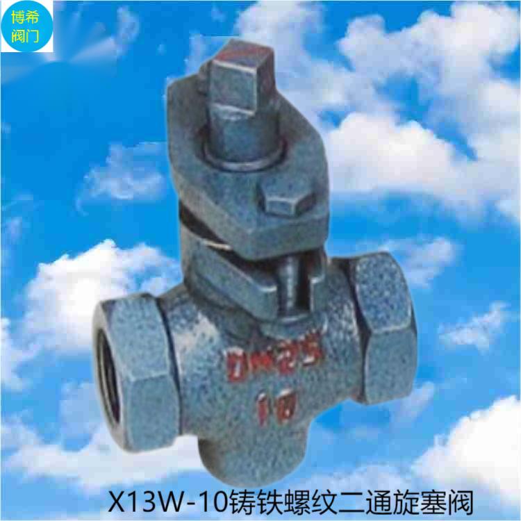 ˿ X13W-10