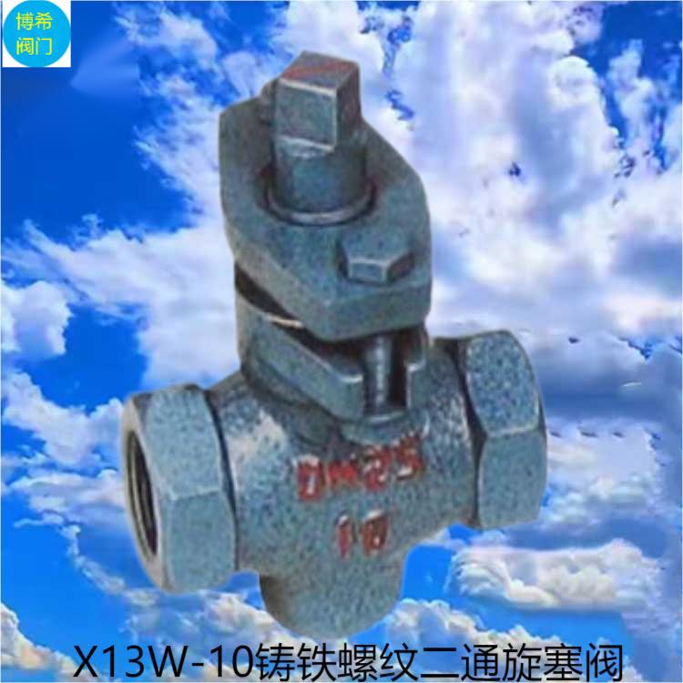 ֶͨy ֱͨʽX13W-10