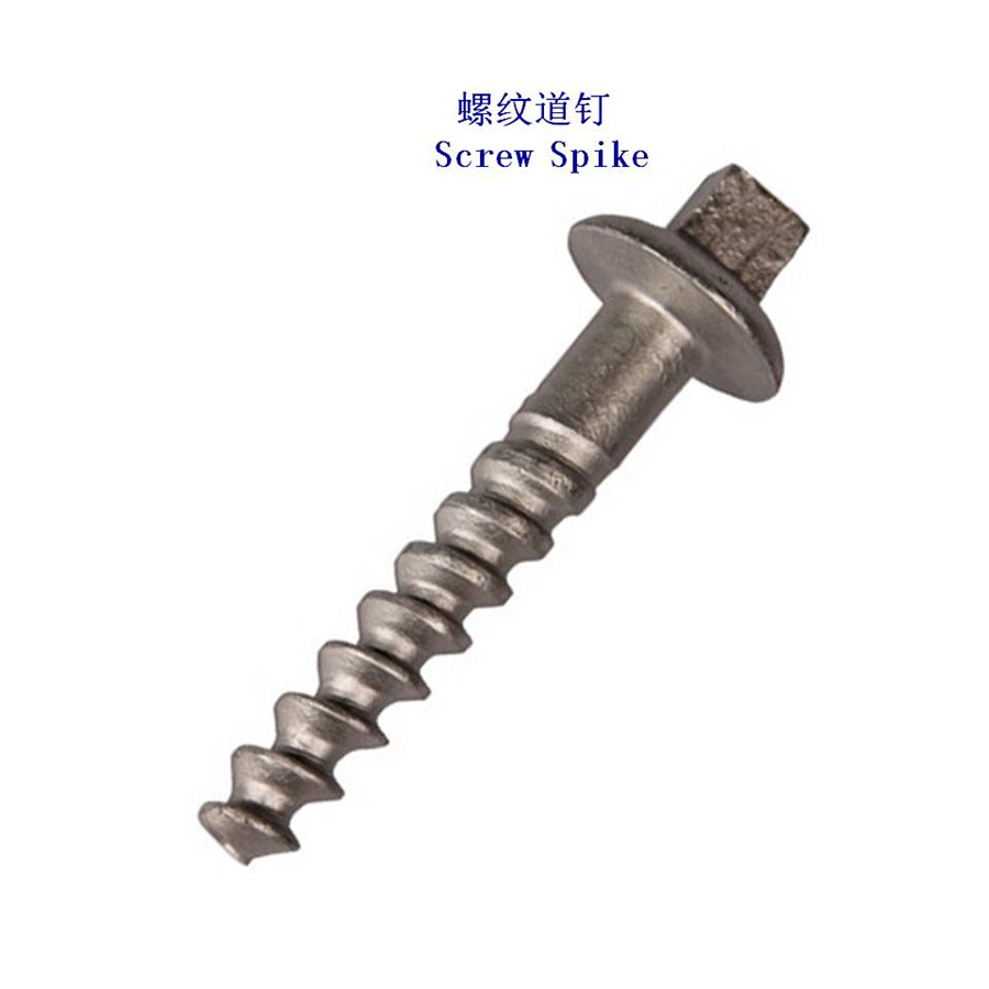ޱ5.8·