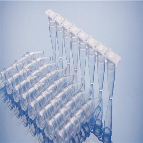 ABI7300\ABI7500 ӫⶨPCR0.2