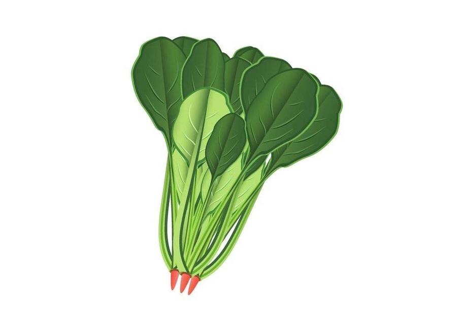 ʳͲ˷˾     ͻ