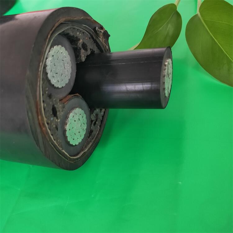YJV-10KV-3*50ѹ¿湩Ӧ