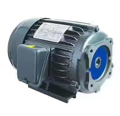 3-PHASE INDUCTION MOTOR ͱõ