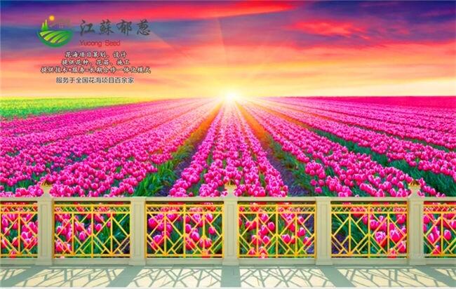 л쾰һ廯ʩ