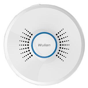 物联可燃气泄漏探测器03型
