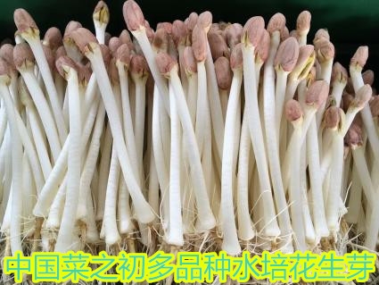 ֮ļ豸Щ