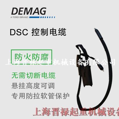 DEMAG綯«DSCֱƿֵſƵ