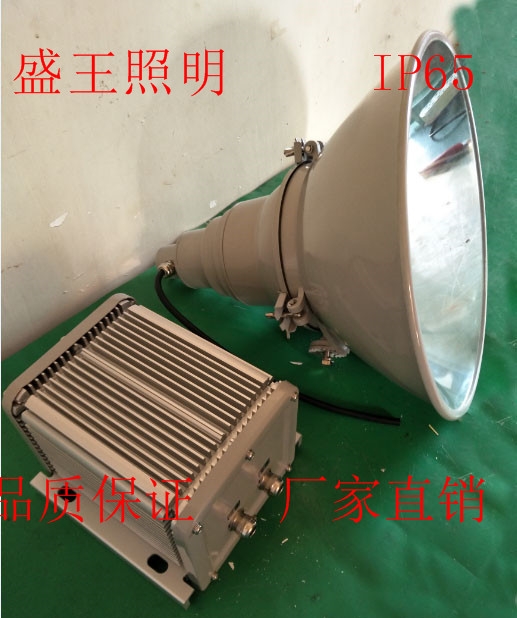 DGN4220-MH400W/250WǿͶ