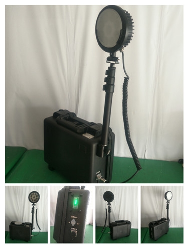 RWX9210-MH400W/250WǿͶ