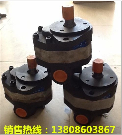 ˹SNP2IN/6,0RN01BAI1F4F4NNBN/VGXNNֹط