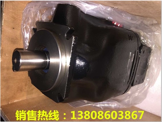 ţʿPV7-1X/63-71RE07MD0-16г