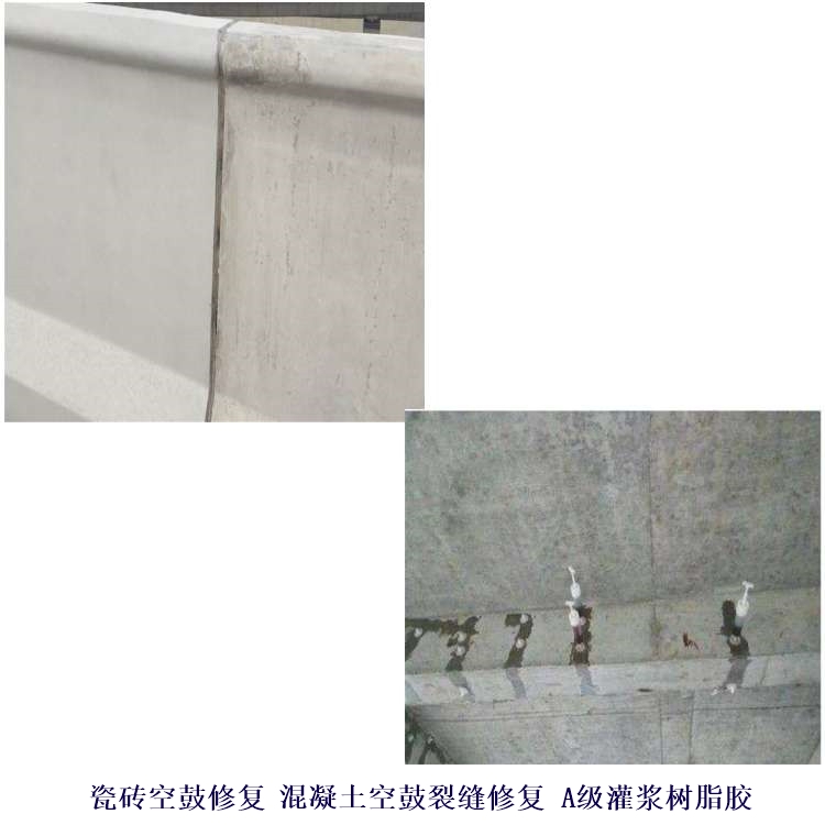 Ͽཬ֬_Ͽѷ޲