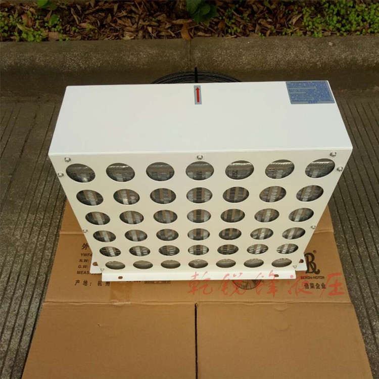 ڽAH0608L-AC110-20