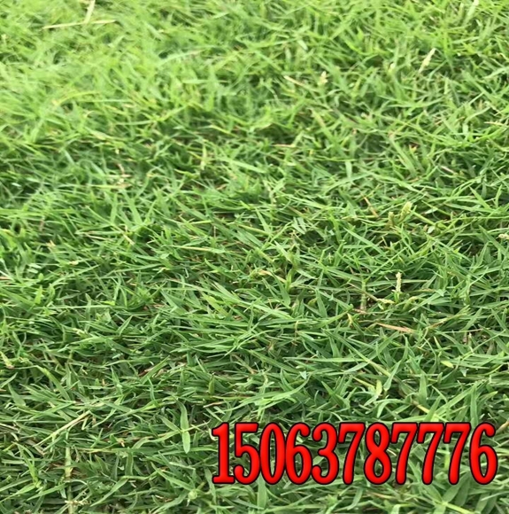 ߻ֲֲ