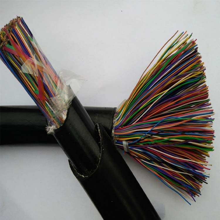 HYA53-50x2x0.5ͨŵֻ