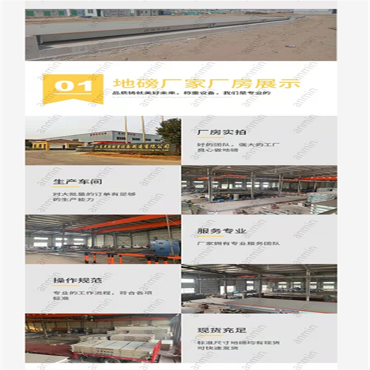 泰州泰兴姜堰地磅厂鹰衡厂家直发批发价