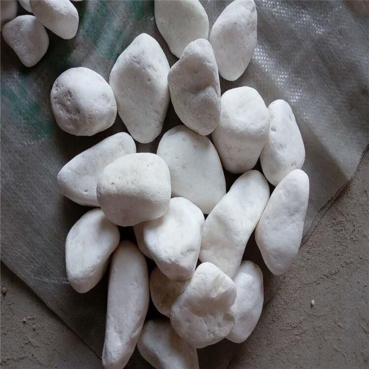 ïůʯ СȻʯ̼