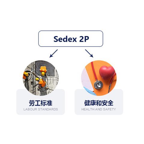 Sedex鳧֤Ӧ鳧ͨרҵṩһվʽ