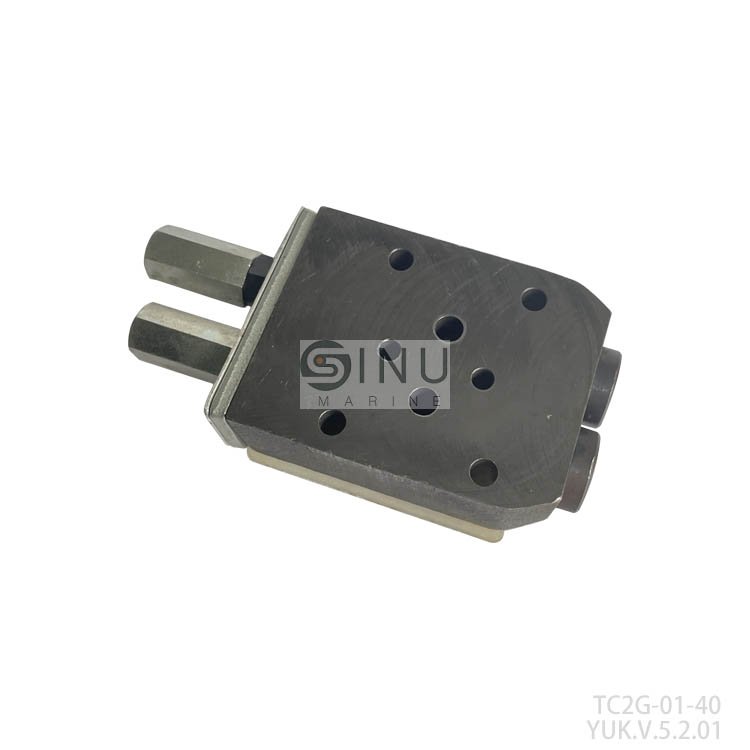 ThrottleandcheckvalveTC2G-01-40ʽ˫