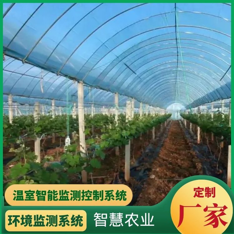 大棚智能农业气象站监测系统温室卷帘监测控制系统