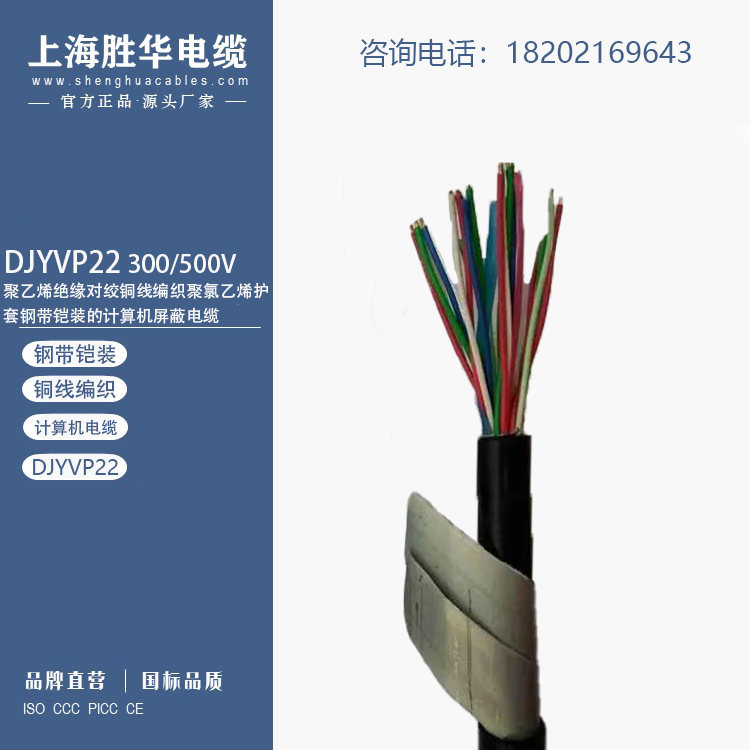 ʤ꿼DJYVP22װ¹